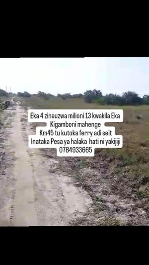Shamba linauzwa Kigamboni Kimbiji Mahenge, Dar Es Salaam Shamba linauzwa Kigamboni Kimbiji Mahenge, Dar Es Salaam