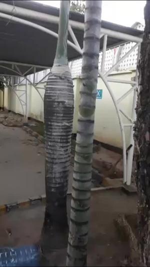 Kiwanja kinauzwa Upanga, Dar Es Salaam sqm 2000 Kiwanja kinauzwa Upanga, Dar Es Salaam sqm 2000