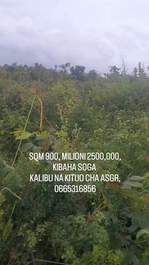 Plot for sale in Kibaha Soga, Pwani sqm 900 Plot for sale in Kibaha Soga, Pwani sqm 900