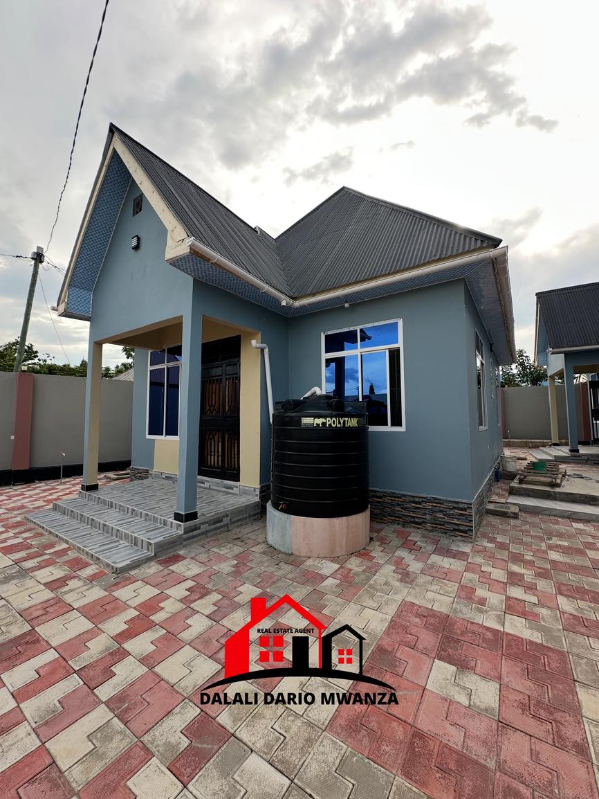 media -3