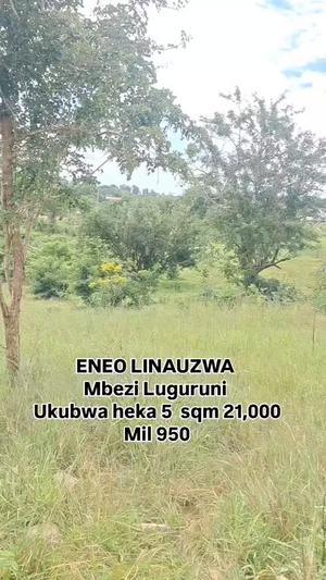 Kiwanja kinauzwa Mbezi Luguruni, Dar Es Salaam acre 5