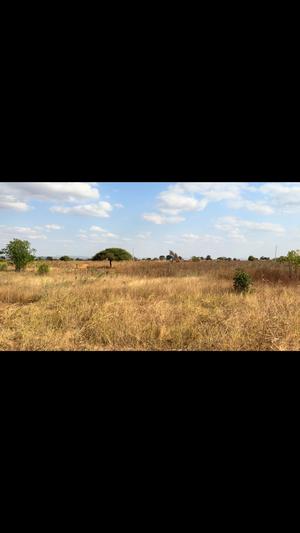 Kiwanja kinauzwa Kitelela, Dodoma Town sqm 899