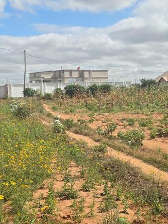 Plot for sale in Iyumbu, Dodoma sqm 500