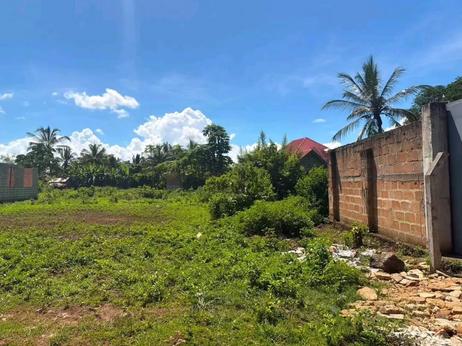 Residential Plot for Sale in Tunguu, Zanzibar - Unguja South (396 sqm)