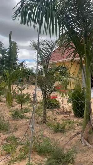Nyumba ya vyumba vitatu inauzwa Michese, Dodoma (1500 sqm)