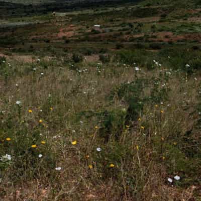 Shamba linauzwa Dar Es Salaam (4700 sqm)