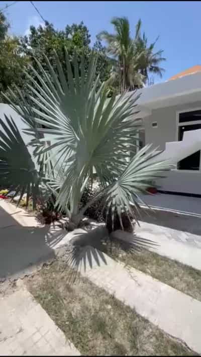 Nyumba inapangishwa Makongo Mwanzo, Dar Es Salaam