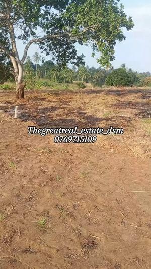 Kiwanja kinauzwa Kibaha Kwa Mathias, Pwani (400 sqm) Kiwanja kinauzwa Kibaha Kwa Mathias, Pwani (400 sqm)