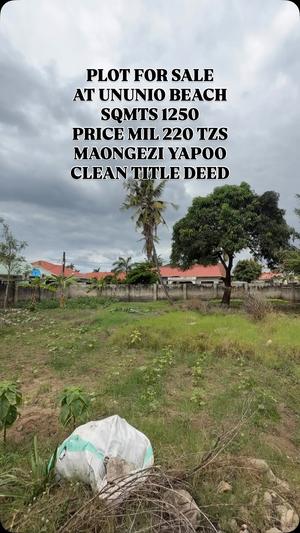 Plot for sale in Ununio Beach, Dar Es Salaam sqm 1250 Plot for sale in Ununio Beach, Dar Es Salaam sqm 1250