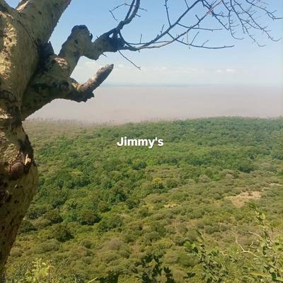 Farm for Sale in Chemchem Village, Pwani (7.5 acre) Farm for Sale in Chemchem Village, Pwani (7.5 acre)