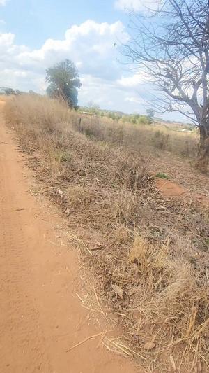 Shamba linauzwa Mlete, Ruvuma (2 acre) Shamba linauzwa Mlete, Ruvuma (2 acre)