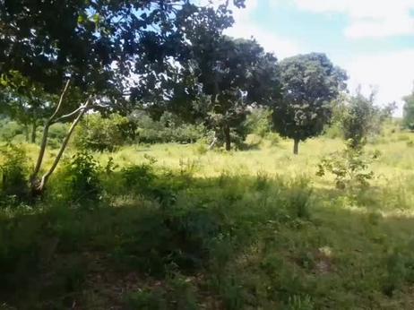 Shamba linauzwa Mlandizi, Pwani acre 2 Shamba linauzwa Mlandizi, Pwani acre 2