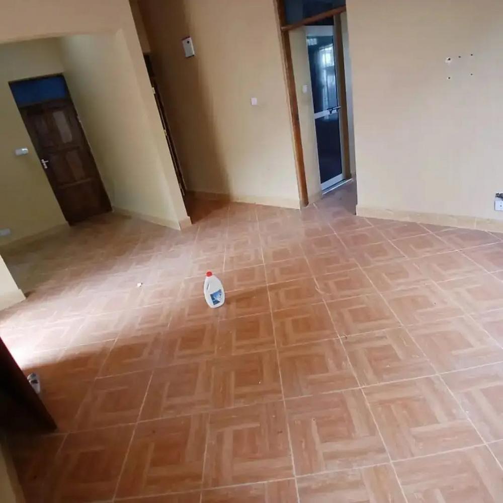 media -3 media -3