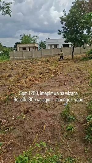 Kiwanja kinauzwa Goba Madale Damasi, Dar Es Salaam Kiwanja kinauzwa Goba Madale Damasi, Dar Es Salaam