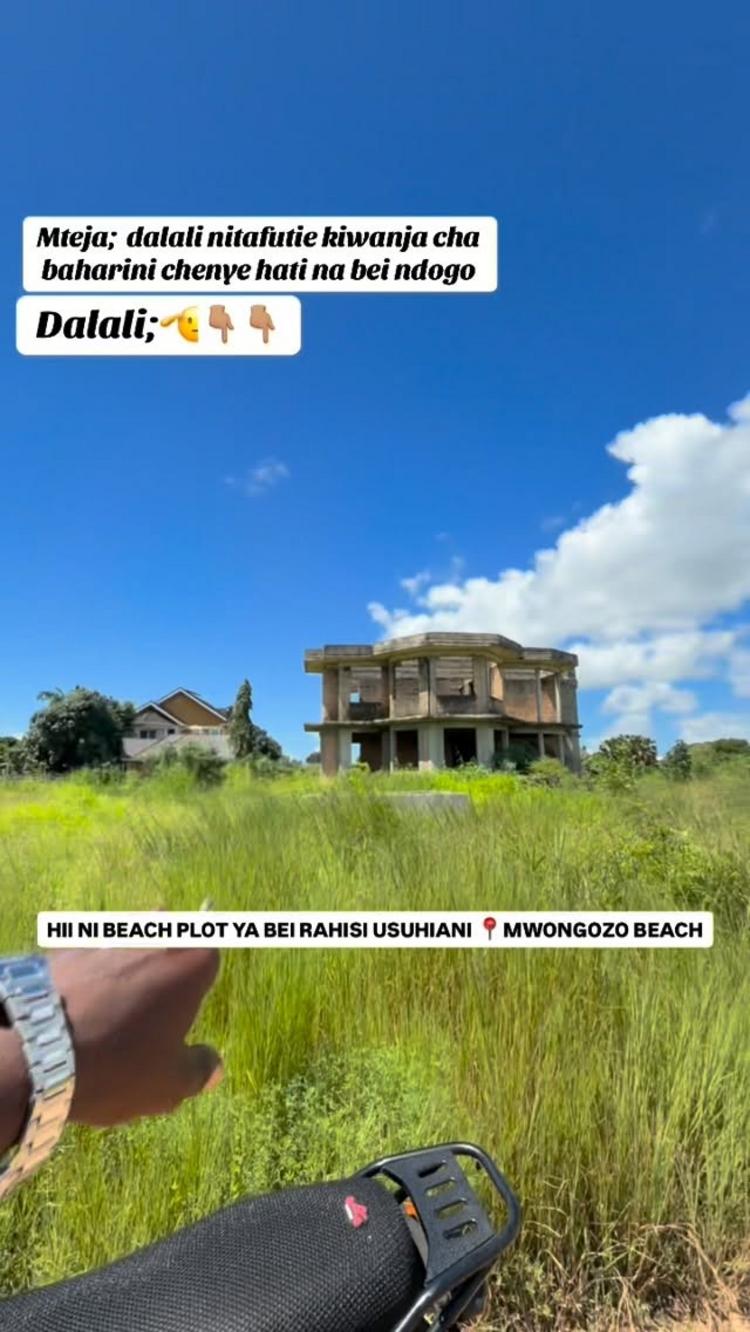 video thumbnail video thumbnail