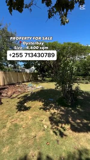 Residential Plot for Sale in Masaki, Dar Es Salaam (4600 sqm) Residential Plot for Sale in Masaki, Dar Es Salaam (4600 sqm)