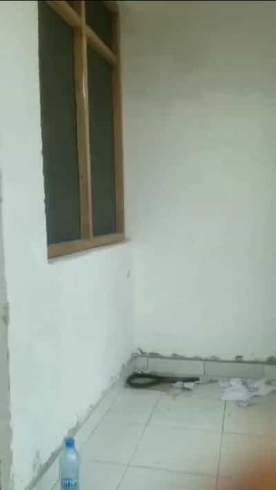 Apartment ya chumba kimoja inapangishwa Makumbusho, Dar Es Salaam