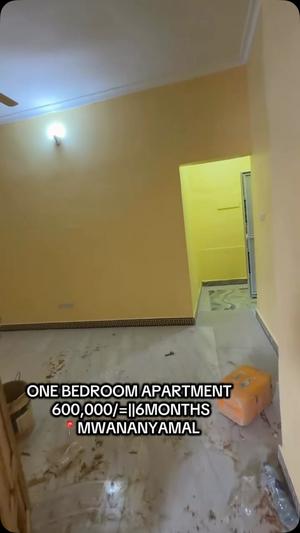 Apartment ya chumba kimoja inapangishwa Mwananyamala, Dar Es Salaam