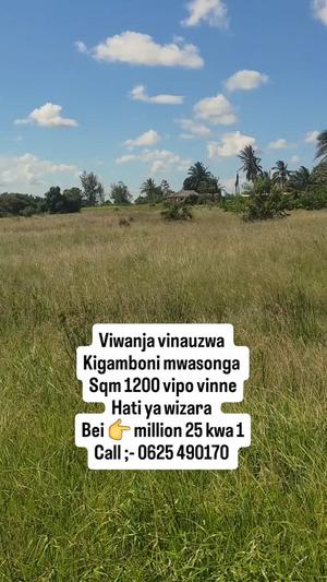 Plots for sale in Mwasonga, Dar Es Salaam sqm 1200