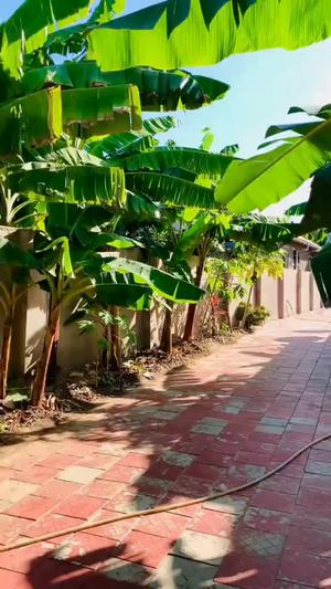 3 Bedrooms House for Rent in Bunju, Dar Es Salaam