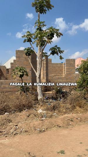 Residential Plot for Sale in Iyumbu, Dodoma (360 sqm) Residential Plot for Sale in Iyumbu, Dodoma (360 sqm)