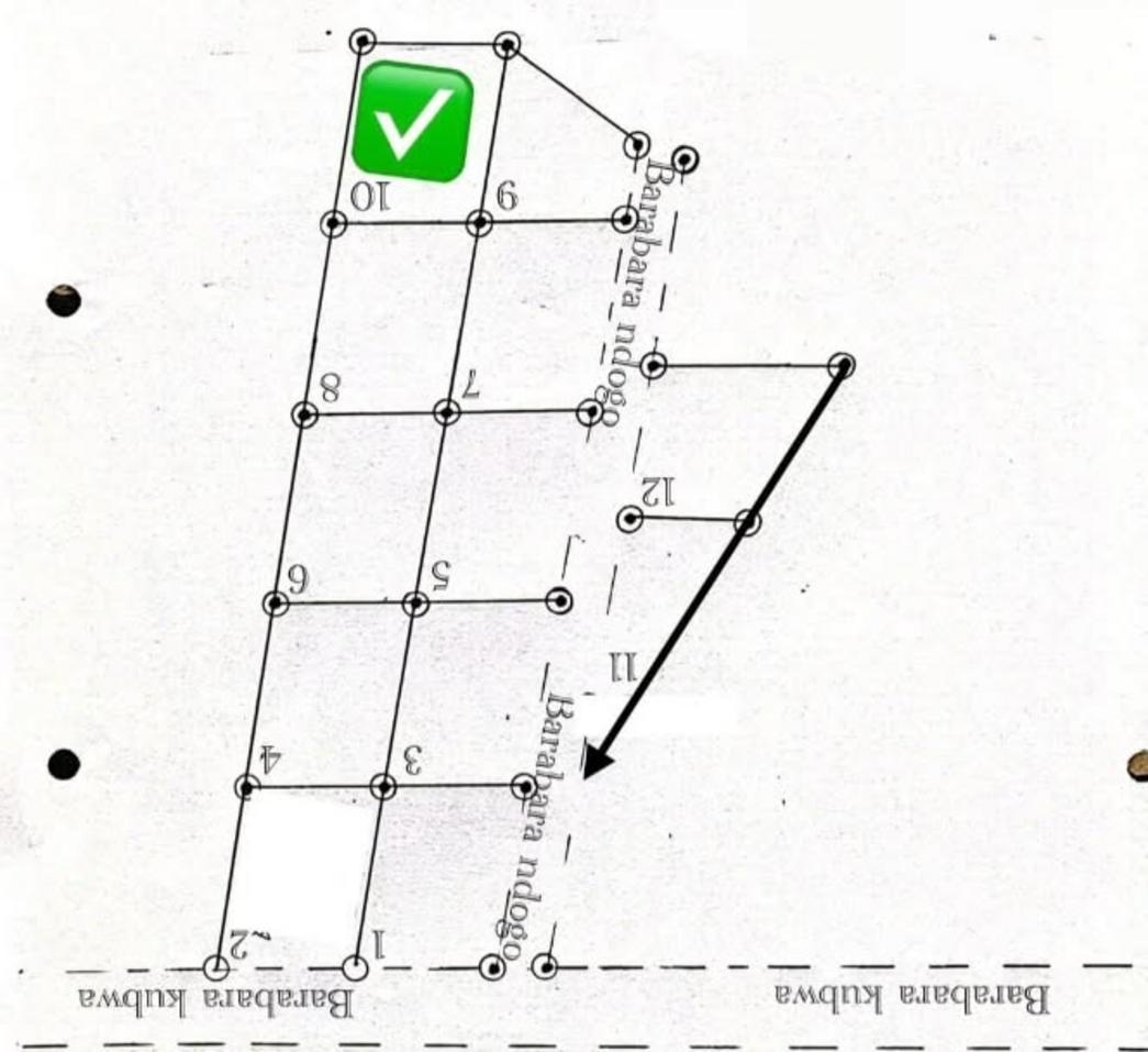 media -6