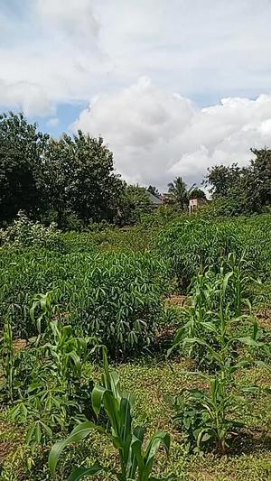 Kiwanja kinauzwa Mbezi Msumi, Dar Es Salaam acre 1