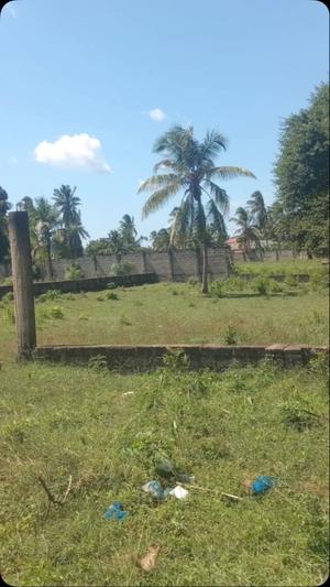 Kiwanja kinauzwa Kisota, Dar Es Salaam sqm 1200 Kiwanja kinauzwa Kisota, Dar Es Salaam sqm 1200