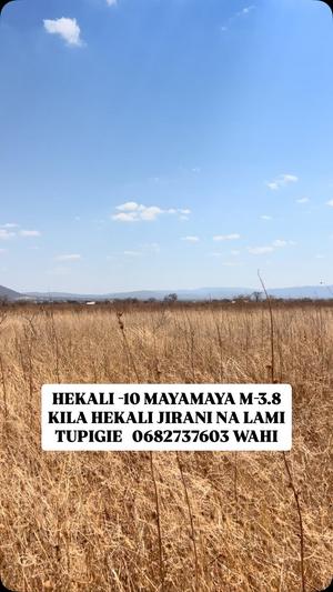 Shamba linauzwa Dodoma (10 acre) Shamba linauzwa Dodoma (10 acre)