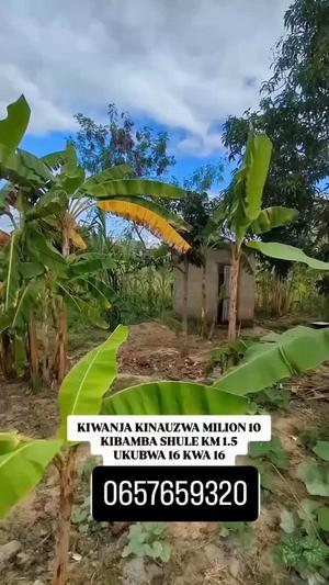 Kiwanja kinauzwa Kibamba Shule, Dar Es Salaam (256 sqm)