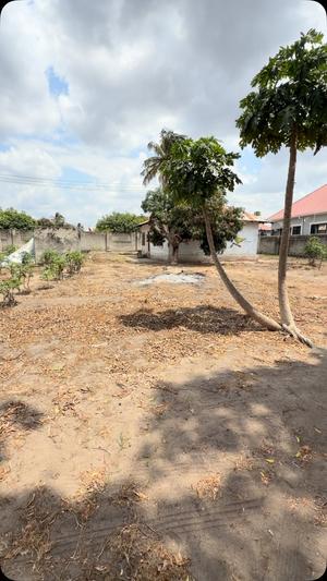 Kiwanja kinauzwa Boko Beach, Dar Es Salaam (560 sqm) Kiwanja kinauzwa Boko Beach, Dar Es Salaam (560 sqm)