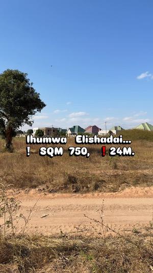 Kiwanja kinauzwa Ihumwa Elishadai, Dodoma sqm 750 Kiwanja kinauzwa Ihumwa Elishadai, Dodoma sqm 750