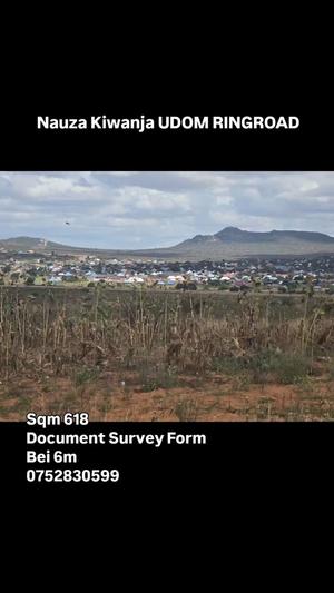 Plot for sale in Udom Ringroad, Dodoma sqm 618