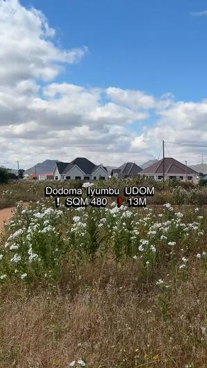 Plot for sale in Iyumbu, Dodoma sqm 480