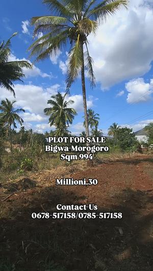 Kiwanja kinauzwa Bigwa Sechelela, Morogoro (994 sqm) Kiwanja kinauzwa Bigwa Sechelela, Morogoro (994 sqm)