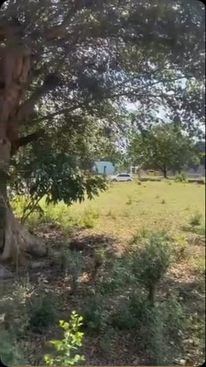 Kiwanja kinauzwa Kisota, Dar Es Salaam sqm 1293