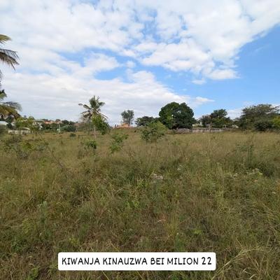 Plot for sale in Kibamba Shule, Dar Es Salaam sqm 600 Plot for sale in Kibamba Shule, Dar Es Salaam sqm 600