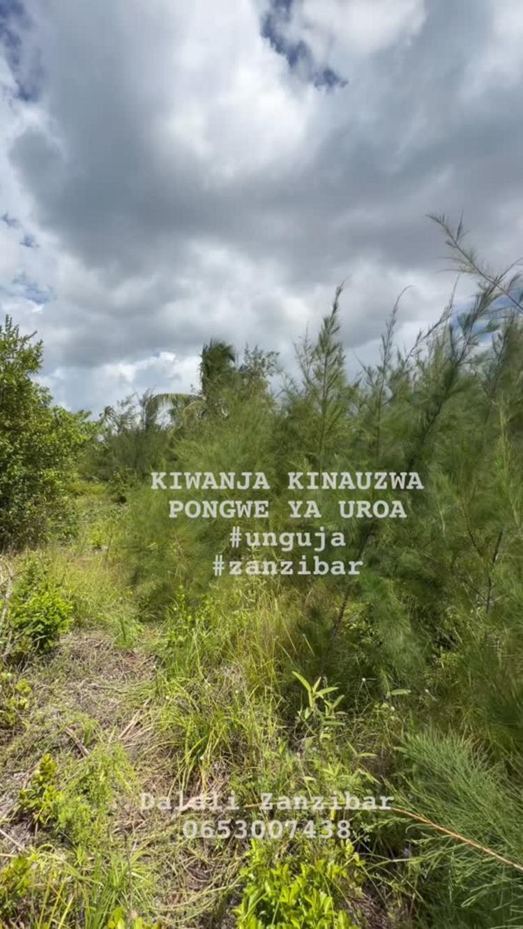 video thumbnail video thumbnail