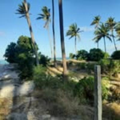 ViwanjaDar_Beirahisi