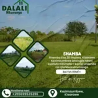 VIWANJA NA MASHABA TZ